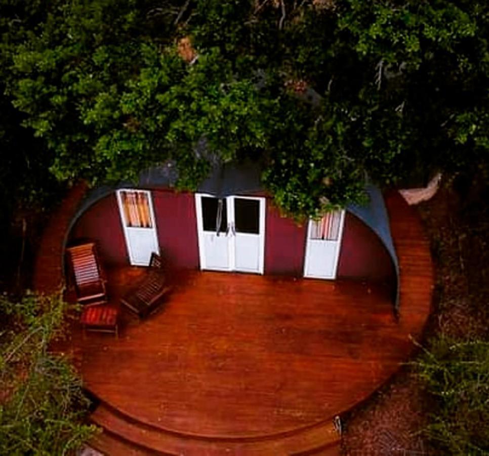 Leopard Nest - Glamping In Yala Hotell Exteriör bild