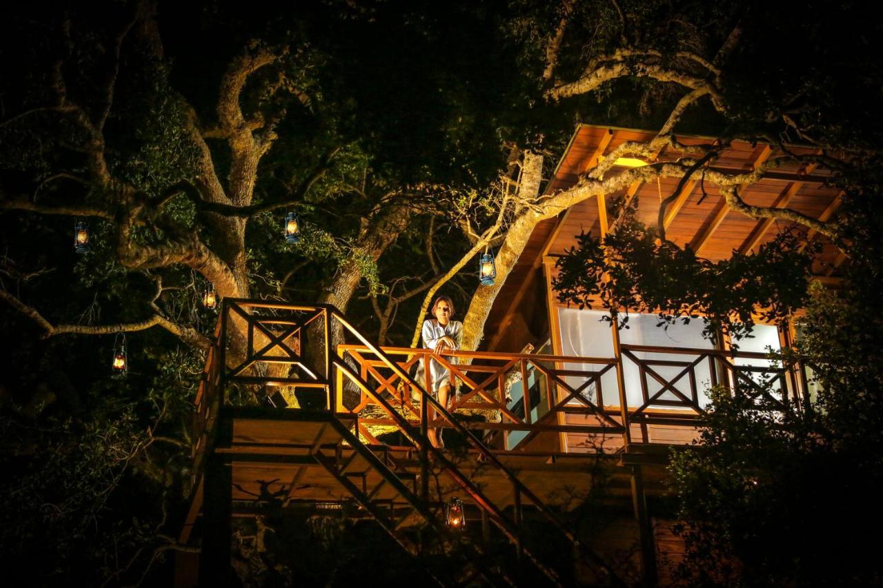 Leopard Nest - Glamping In Yala Hotell Exteriör bild
