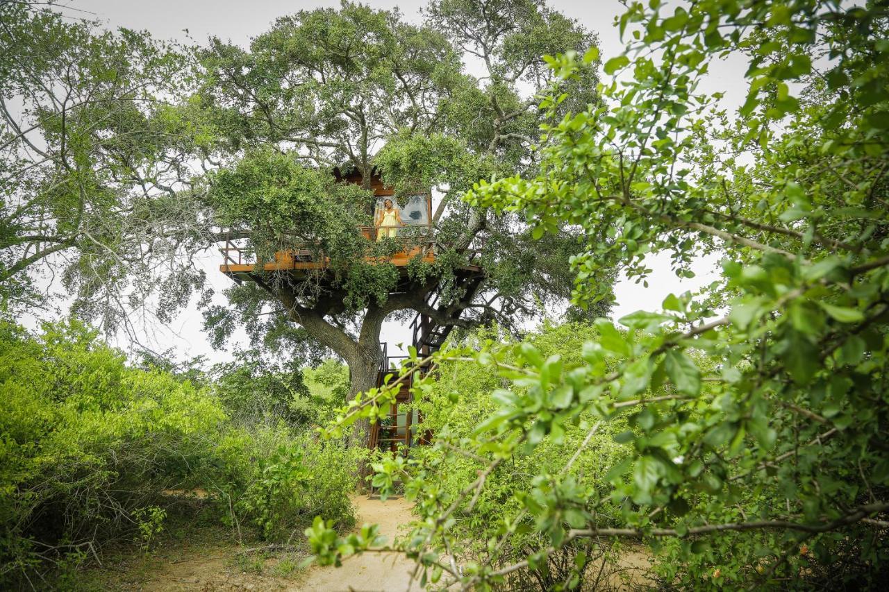 Leopard Nest - Glamping In Yala Hotell Exteriör bild