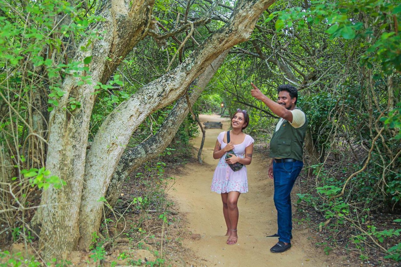 Leopard Nest - Glamping In Yala Hotell Exteriör bild