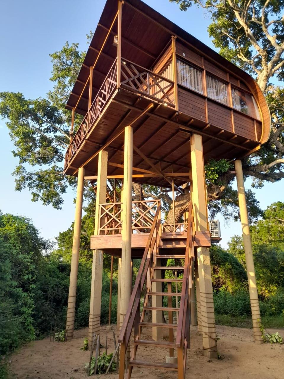 Leopard Nest - Glamping In Yala Hotell Exteriör bild