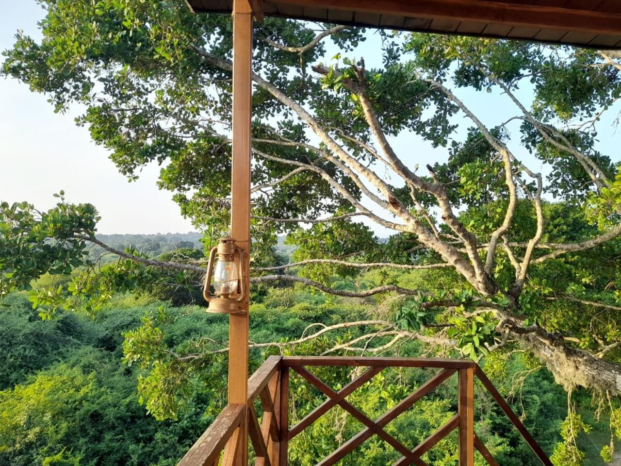 Leopard Nest - Glamping In Yala Hotell Exteriör bild