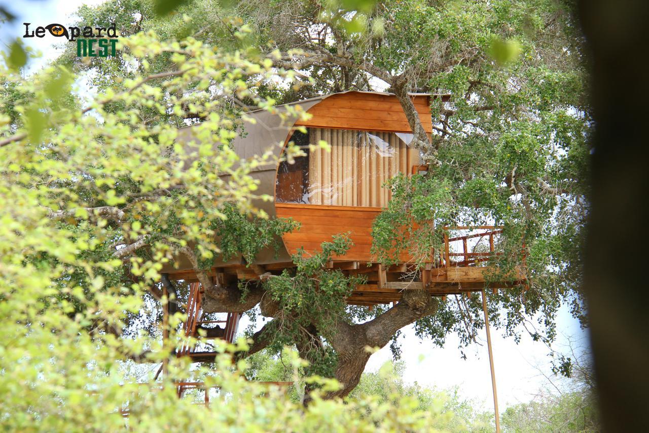 Leopard Nest - Glamping In Yala Hotell Exteriör bild