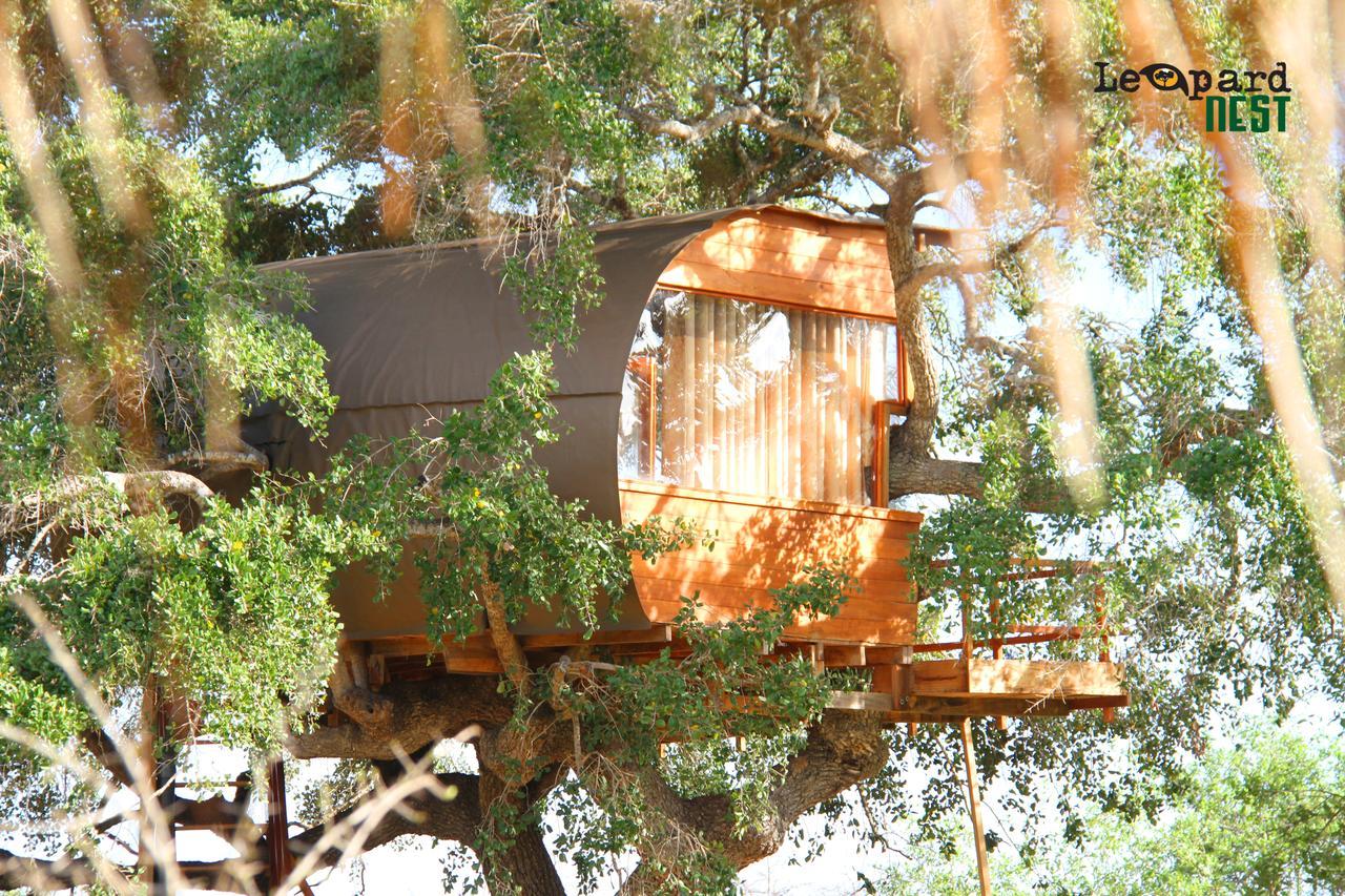 Leopard Nest - Glamping In Yala Hotell Exteriör bild