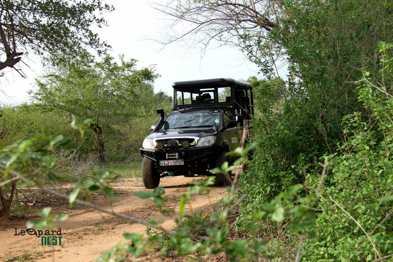 Leopard Nest - Glamping In Yala Hotell Exteriör bild