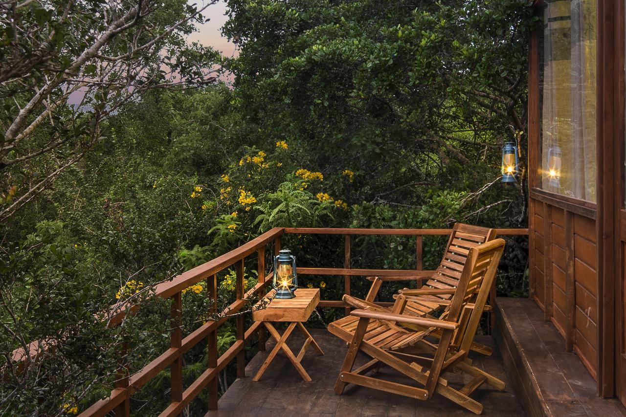 Leopard Nest - Glamping In Yala Hotell Exteriör bild